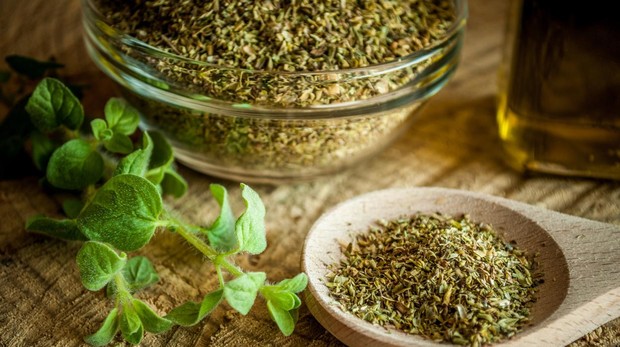 oregano